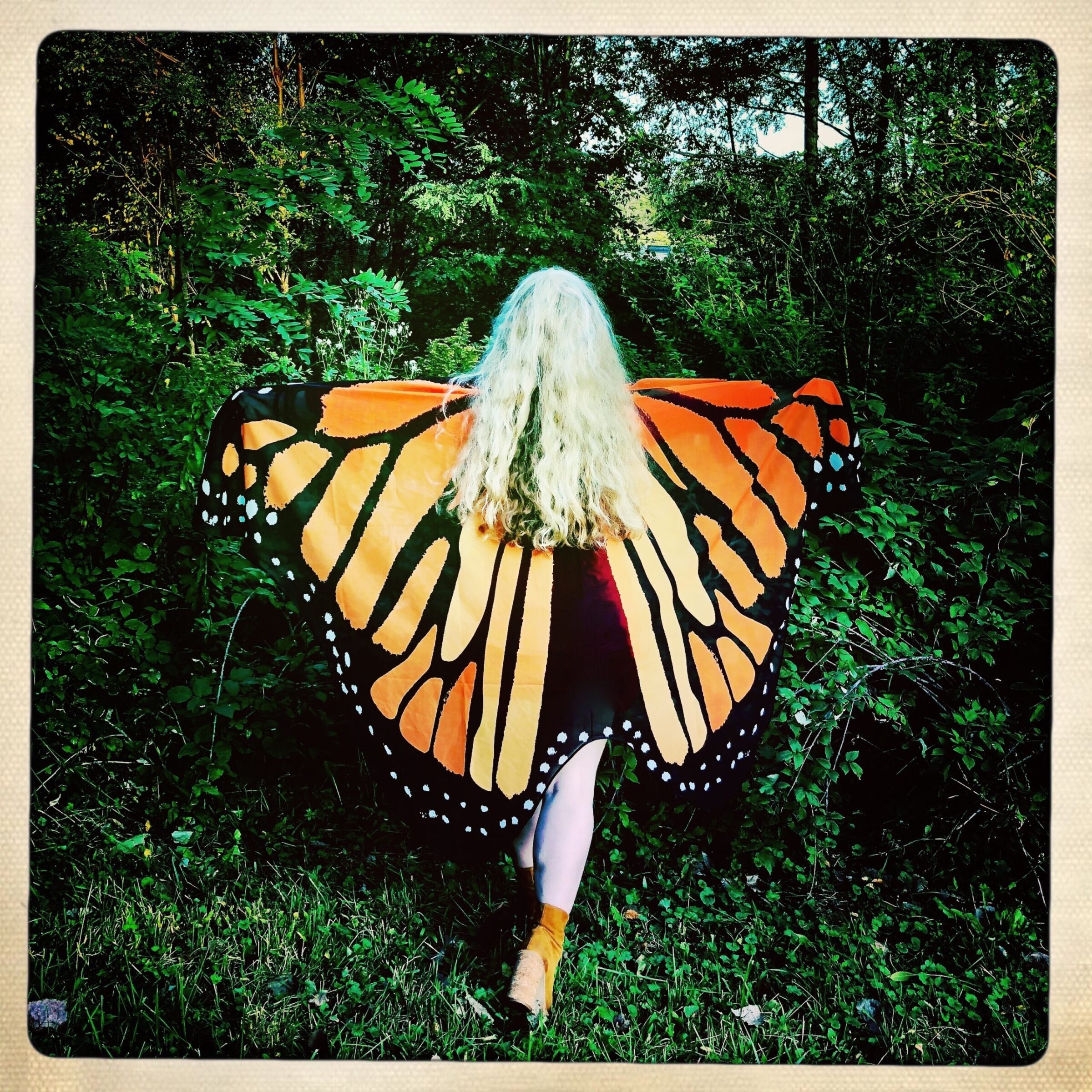 Person with long blonde hair wearing monarch butterfly wings in a forest.